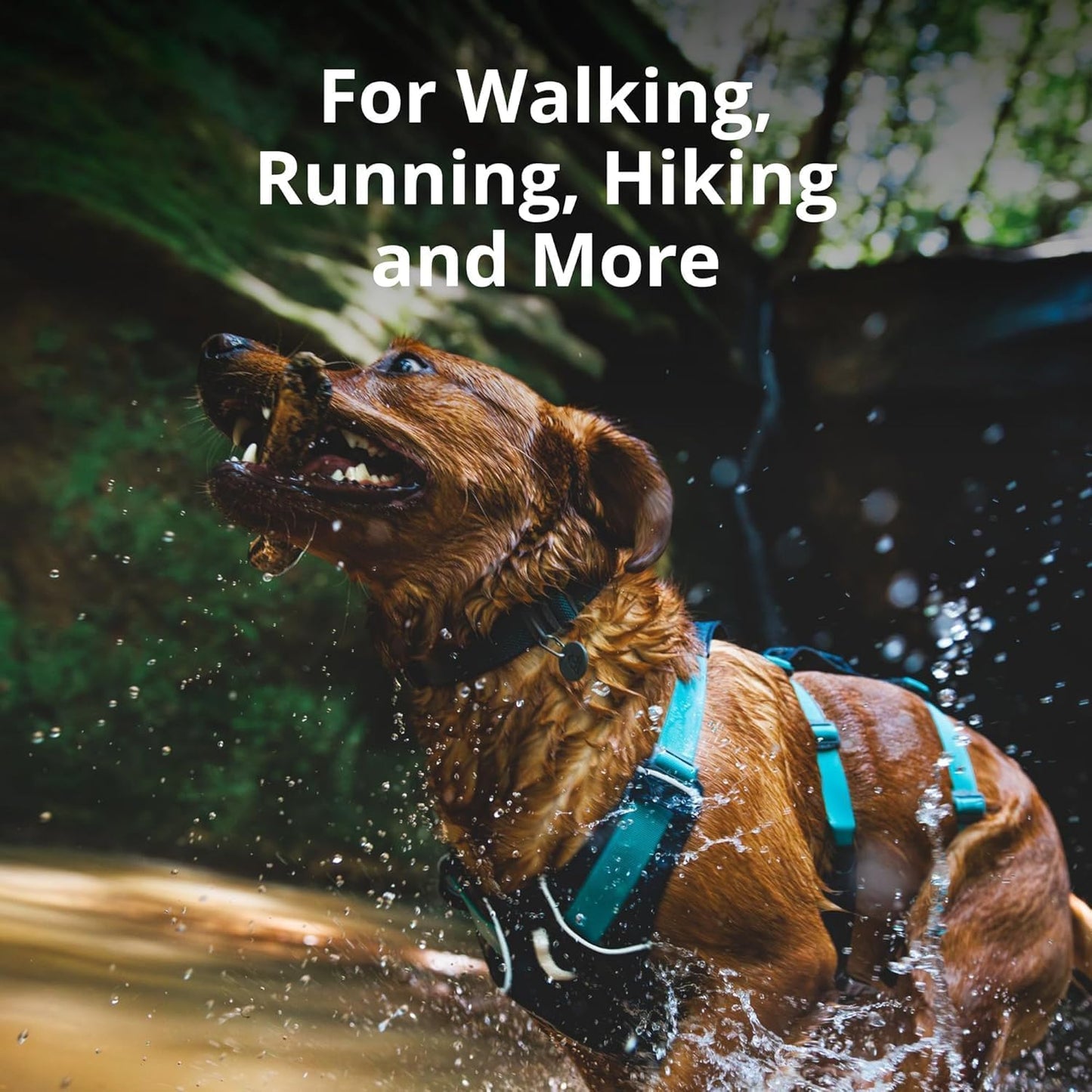 , Flagline Dog Harness, Lightweight and Reflective, No Pull Dog Lift Harness for Hiking, Running and Everyday Use, Granite Gray, Xx-Small