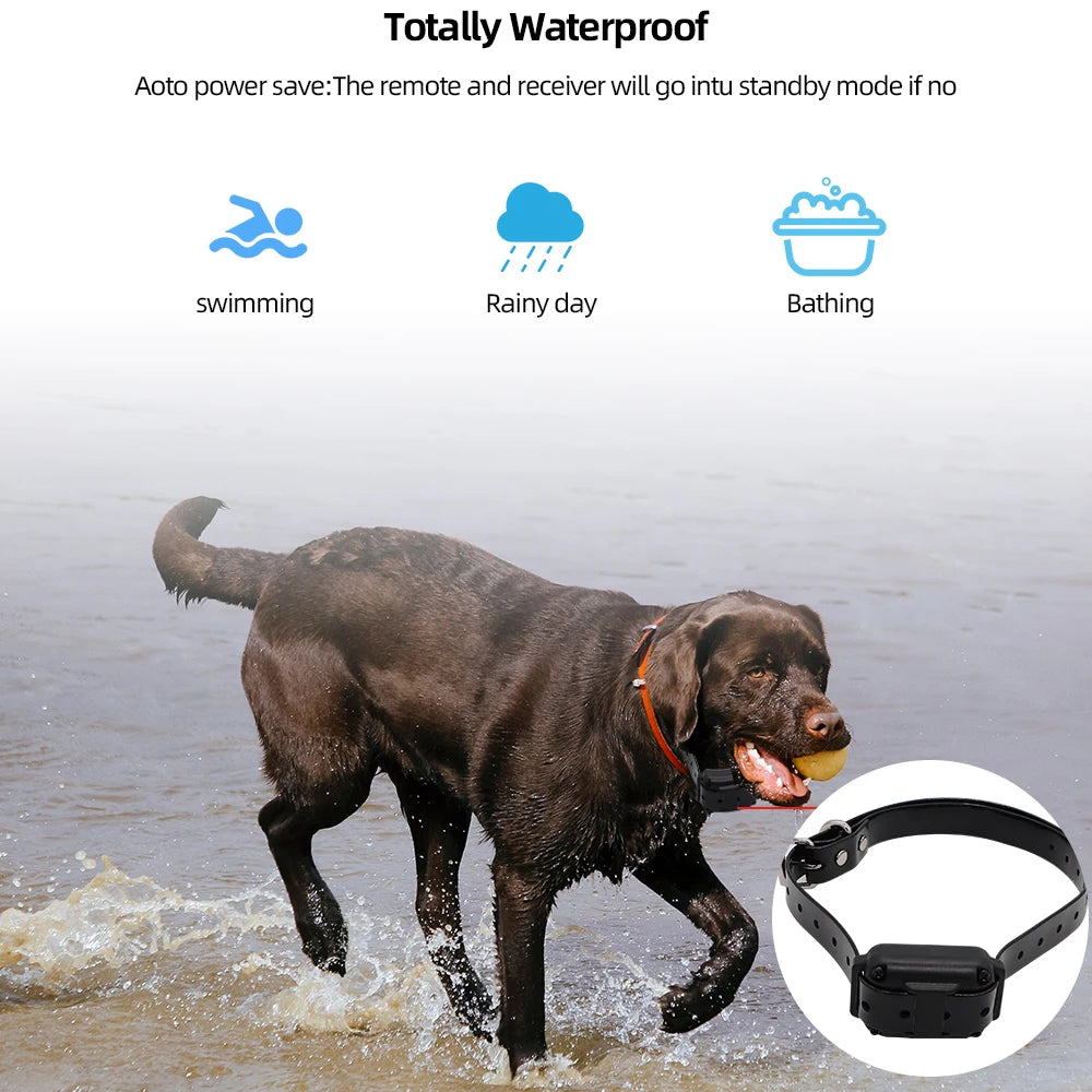 800M Digital Dog Training Collar Waterproof Rechargeable Remote Control Pet with LCD Display for All...