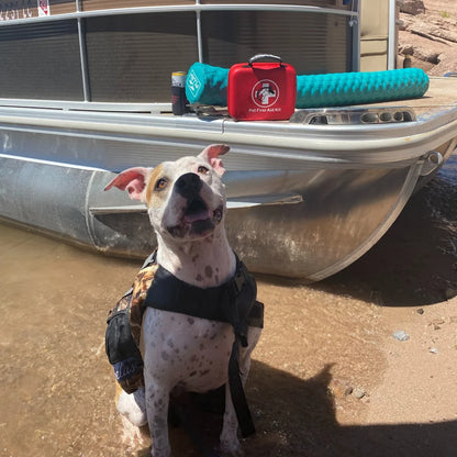 Essential Deluxe Pet First Aid Kit - 60 Pieces Veterinarian Approved for Ultimate Pet Safety