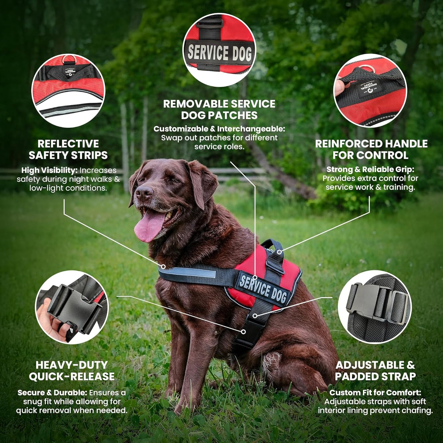 Service Dog Vest with Hook and Loop Straps and Handle - Harness Is Available in 8 Sizes from XXXS to XXL - Service Dog Harness Features Reflective Patch and Comfortable Mesh Design Bright Red