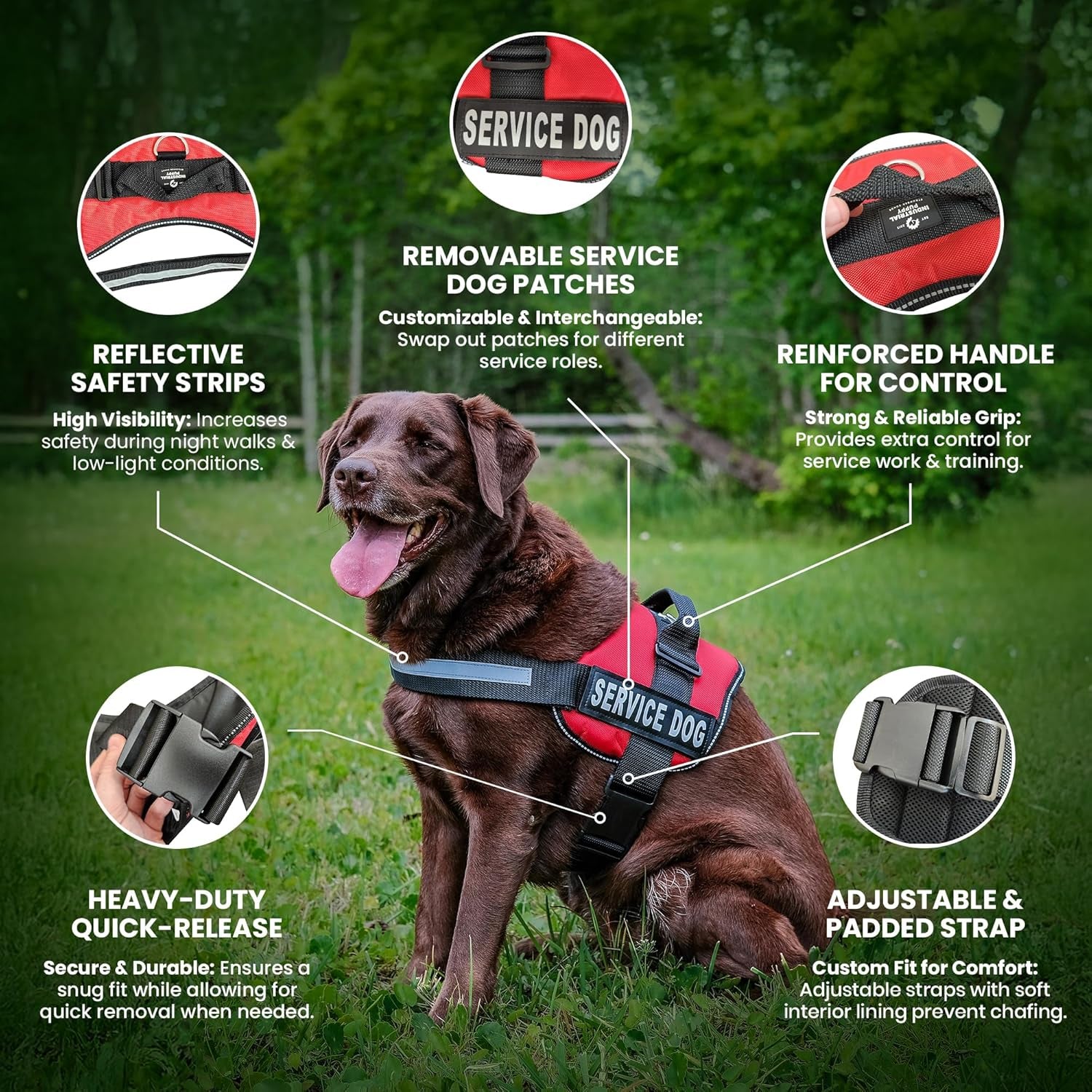Service Dog Vest with Hook and Loop Straps and Handle - Harness Is Available in 8 Sizes from XXXS to XXL - Service Dog Harness Features Reflective Patch and Comfortable Mesh Design Bright Red