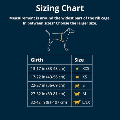 , Flagline Dog Harness, Lightweight and Reflective, No Pull Dog Lift Harness for Hiking, Running and Everyday Use, Granite Gray, Xx-Small