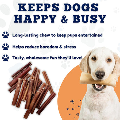 - 6 Inch Medium Size Bully Sticks (25 Count) - Bulk Bully Sticks for Dogs - No Hide Bully Stick Dog Bones