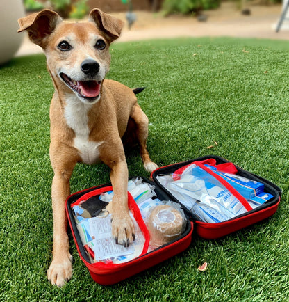 Essential Deluxe Pet First Aid Kit - 60 Pieces Veterinarian Approved for Ultimate Pet Safety