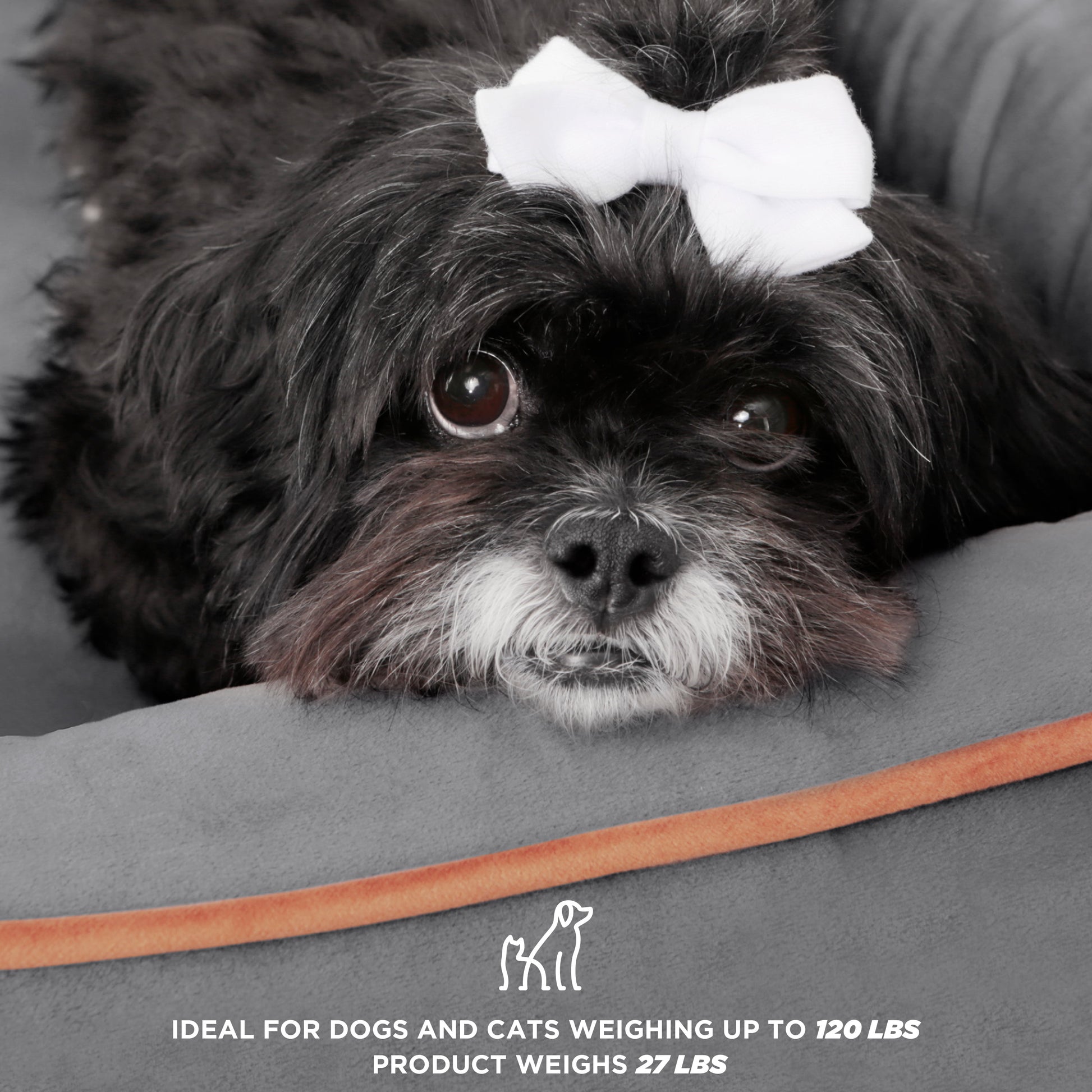 Elevate Your Pet's Comfort with the Wyatt Wooden Elevated Pet Bed & Mattress - Stylish, Functional, and Greenguard Gold Certified!